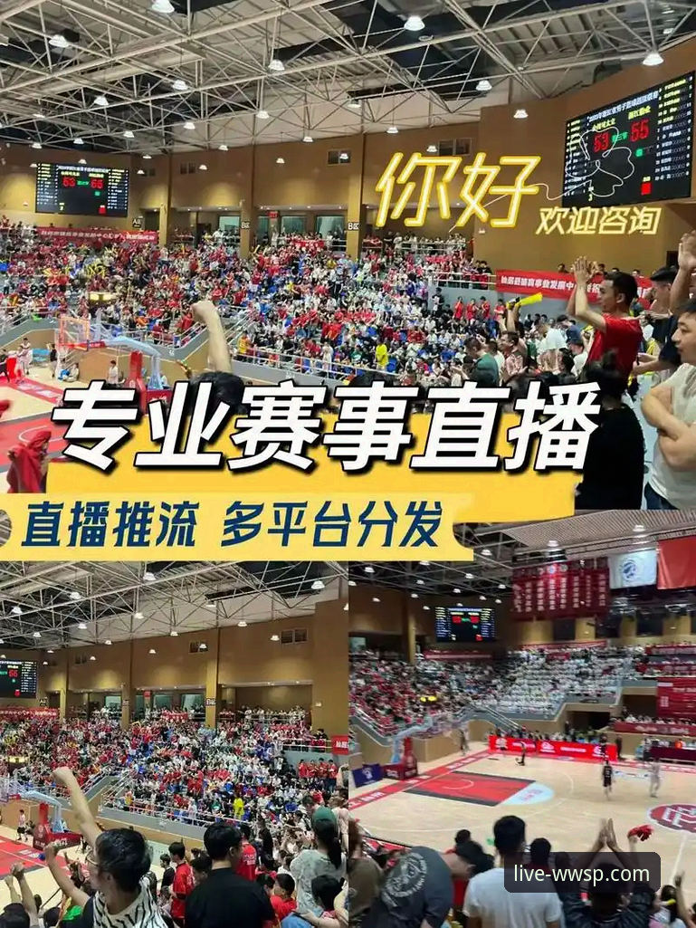 揭秘微玩体育赛事回放：数据分析师眼中的直播平台真相